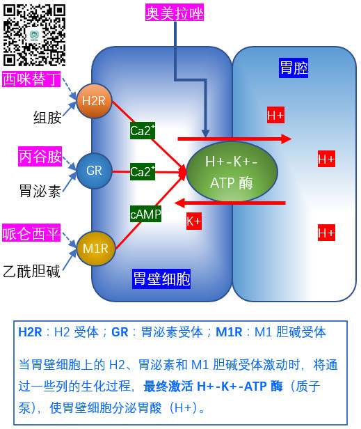 1529371726667019273.jpg 6.191.jpg